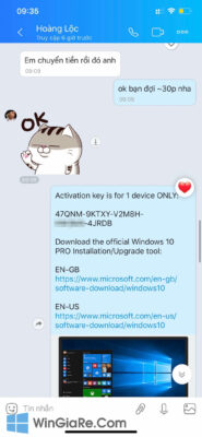 Windows 11 (Pro/Home/Edu) 12