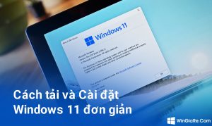 Hướng dẫn tải và cài Windows 11 bằng USB chi tiết bằng hình ảnh