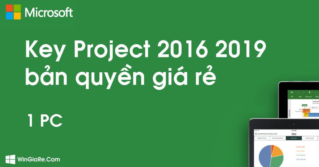 Project 2019 Professional 6