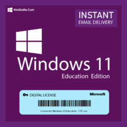 Windows 11 (Pro/Home/Edu) 9