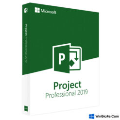 Project 2019 Professional 4