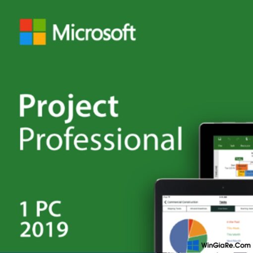 Project 2019 Professional 3