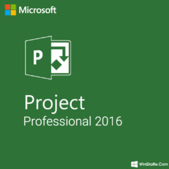 Project 2016 Professional 5