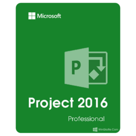 Project 2016 Professional (Vĩnh viễn)