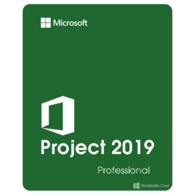 Project 2019 Professional (Vĩnh viễn)