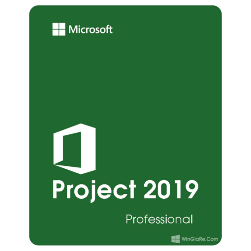 Project 2019 Professional 1
