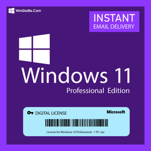 Windows 11 (Pro/Home/Edu) 3