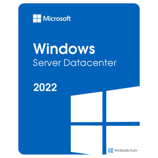 Windows Server 2022 (Standard & Datacenter) 1