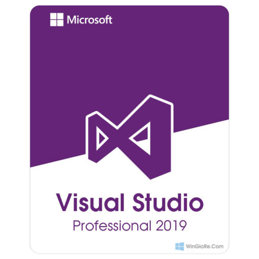 Visual Studio 2019 Professional 1