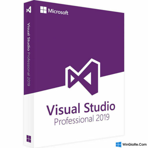 Visual Studio 2019 Professional 2