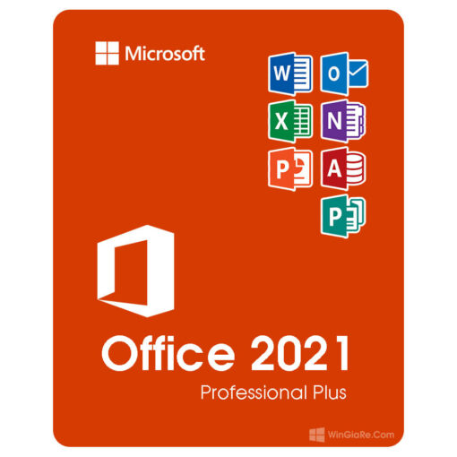 Office 2021 Professional Plus 3