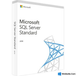 SQL Server 2019 Standard 3