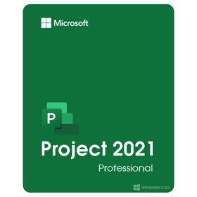Project 2021 Professional (Vĩnh viễn)