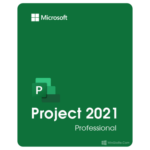 Project 2021 Professional 1