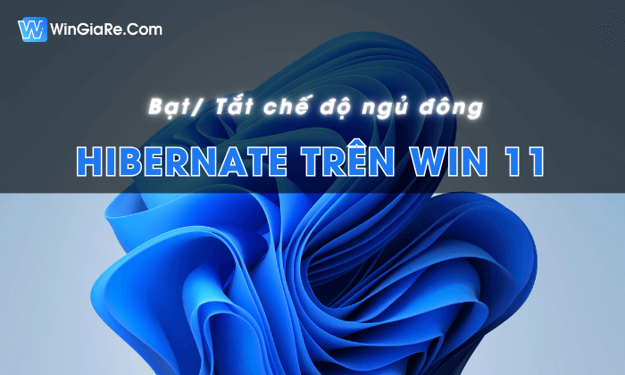 tat che do ngu dong win 11