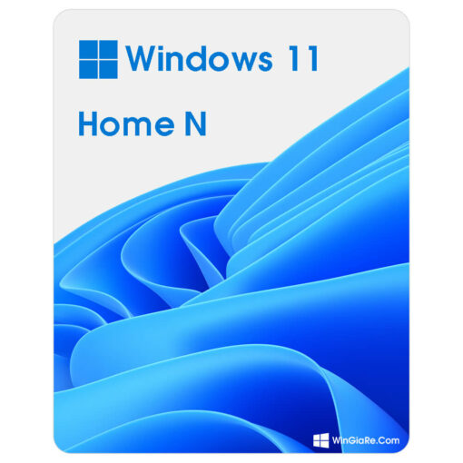 Windows 11 Home N 1