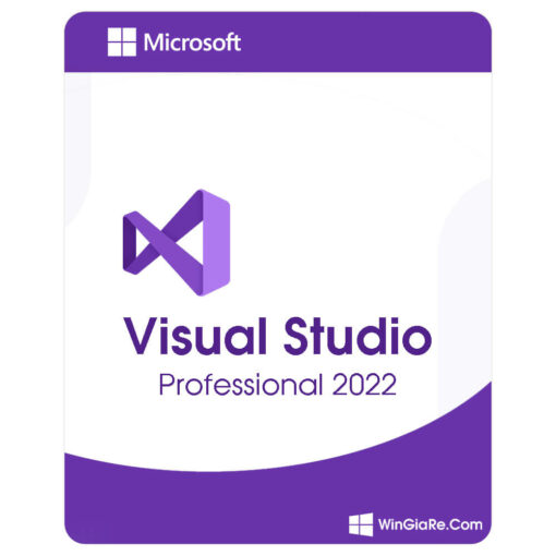 Visual Studio 2022 Professional 1