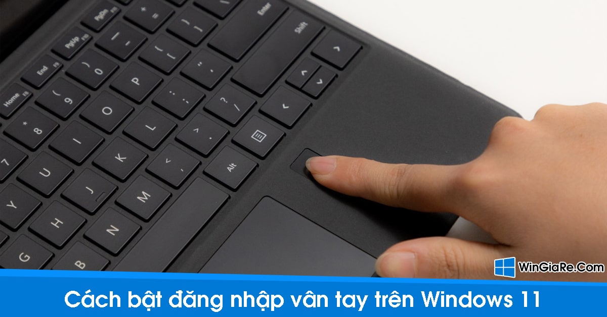 Chi tiết cách bật đăng nhập vân tay trên laptop Windows 11 11