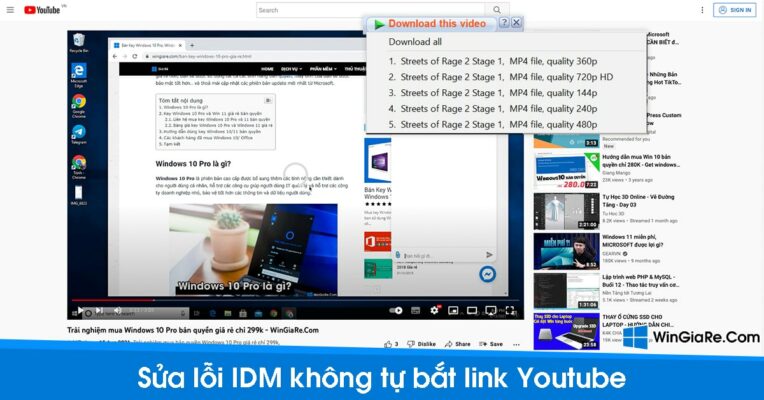 Cách sửa lỗi IDM không bắt link Youtube trên Chrome, Firefox 1