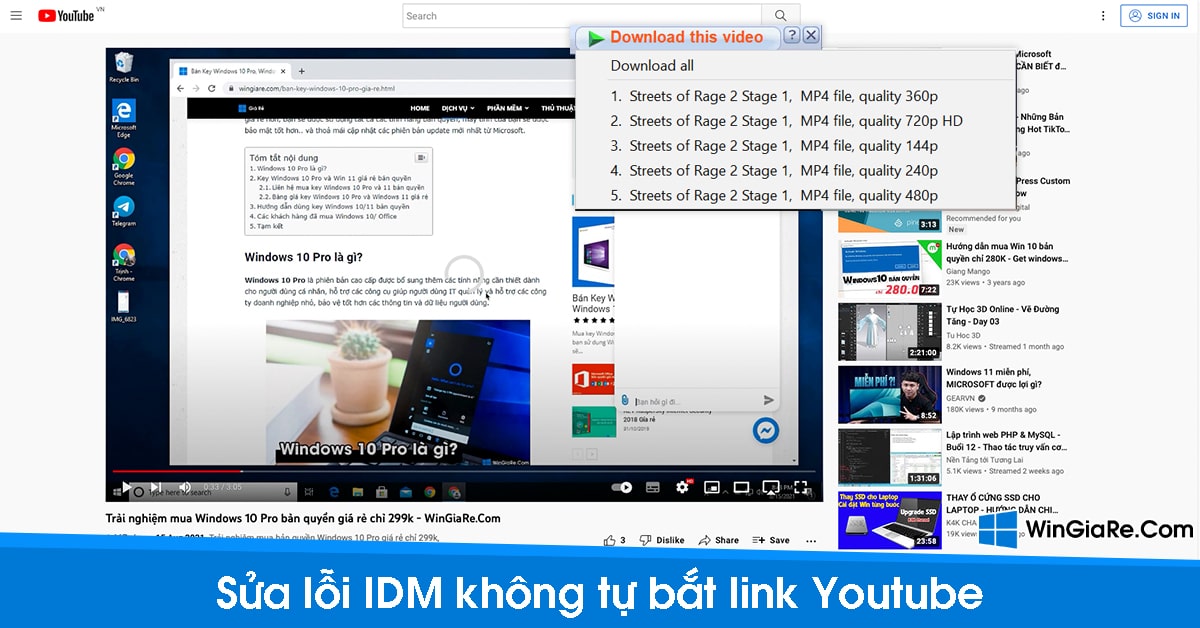 Cách sửa lỗi IDM không bắt link Youtube trên Chrome, Firefox 21