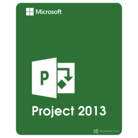 Microsoft Project 2013 (Vĩnh viễn)