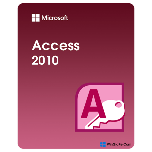 Access 2010 1