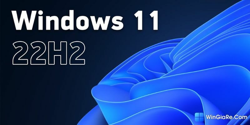 Những phương pháp sửa lỗi 0x80248007 khi cập nhật Windows 11 22H2 1