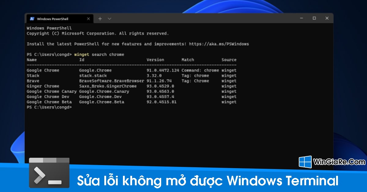 Cách sửa lỗi Terminal không mở được Windows trong Windows 11 1