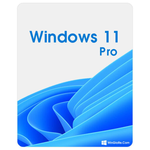 Windows 11 Pro 1