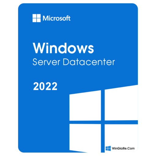 Windows Server 2022 Datacenter 1