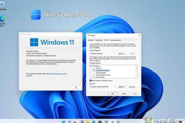 Windows 11 Enterprise LTSC 2