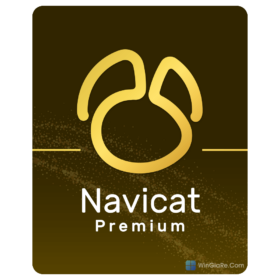 Navicat Premium 1 Năm