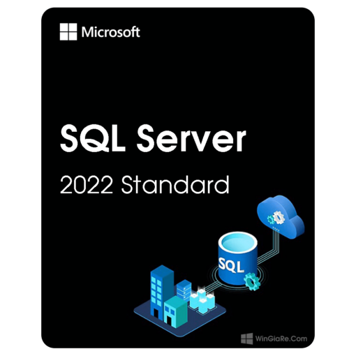 SQL Server 2022 Standard 1